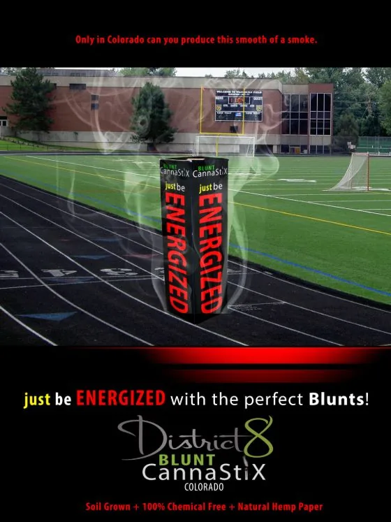 District 8 Blunt CannaStiX print ad designed by Jeremy Benisek: a 3D-rendered product box composited into a Colorado scene.